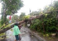 Cuaca ekstrem sejak satu pekan terakhir, terjadi di beberapa wilayah yang ada di Sulawesi Utara. Bahkan pada Minggu (21/1) sejak dini hari, hujan lebat terus mengguyur Kota Manado dan sekitarnya.
