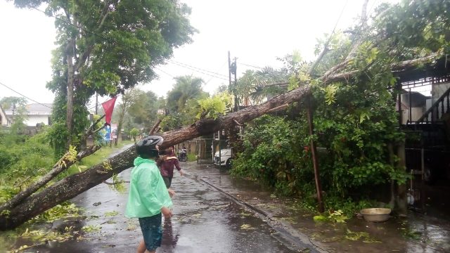 Cuaca ekstrem sejak satu pekan terakhir, terjadi di beberapa wilayah yang ada di Sulawesi Utara. Bahkan pada Minggu (21/1) sejak dini hari, hujan lebat terus mengguyur Kota Manado dan sekitarnya.