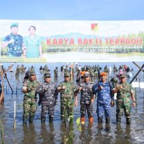 Melalui Karya Bakti Terpadu, Kodam XIII/Merdeka Peduli Mangrove dan Sesama