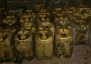 Ditreskrimsus Polda Sulut Ungkap Penyalahgunaan BBM Solar Bersubsidi di Poyowa Besar Satu, Kotamobagu