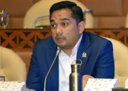 Ketua Komisi II DPR RI, Rifqinizamy Karsayuda