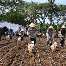 Polda Sulawesi Utara menggelar kegiatan penanaman jagung di lahan perkebunan Kelurahan Pandu, Kecamatan Bunaken, Kota Manado, Selasa (21/1/2025).