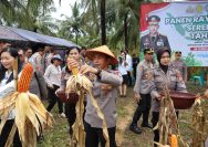 Wakapolda Sulawesi Utara (Sulut) Brigjen Pol Bahagia Dachi memimpin panen raya jagung, di area perkebunan Balai Palma, Kelurahan Paniki Dua, Kecamatan Mapanget, Kota Manado, pada Rabu (26/2/2025) pagi.