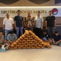 Polda Sumbar Gagalkan Peredaran 47 Kg Ganja di Sumbar