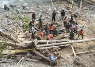 Tim Gabungan Temukan 6 Korban Banjir Bandang di Pegunungan Arfak