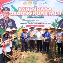 apolres Kampar, AKBP Mihardi Mirwan, turut serta dalam dua kegiatan panen raya jagung Program II di wilayah hukum Polres Kampar pada Senin (2/6/2025).