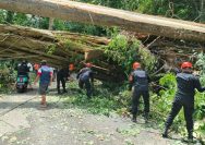 Respon cepat ditunjukkan oleh jajaran Satbrimob Polda Sulawesi Utara dalam menanggapi laporan gangguan akses publik.
