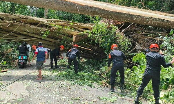 Respon cepat ditunjukkan oleh jajaran Satbrimob Polda Sulawesi Utara dalam menanggapi laporan gangguan akses publik.