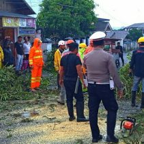 Cuaca ekstrem berupa hujan deras dan angin kencang yang mengguyur wilayah Kota Kotamobagu pada Senin (20/04/2026) memicu terjadinya pohon tumbang.