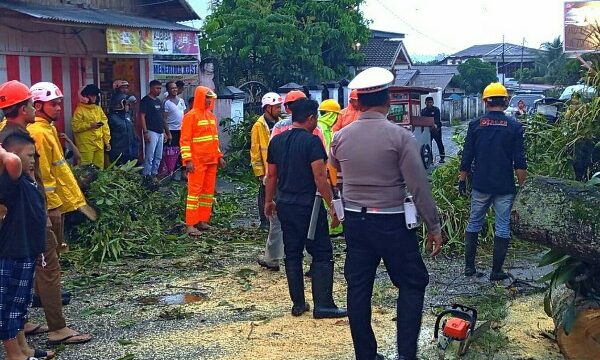 Cuaca ekstrem berupa hujan deras dan angin kencang yang mengguyur wilayah Kota Kotamobagu pada Senin (20/04/2026) memicu terjadinya pohon tumbang.