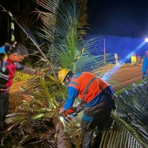 Respons cepat ditunjukkan personel Samapta Polres Bolaang Mongondow Selatan saat melakukan evakuasi pohon kelapa tumbang yang menutup badan jalan di Desa Tabilaa, ruas jalan Pinolosian–Molibagu, Senin malam (18/5/2026) sekitar pukul 23.30 Wita.