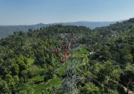 Ilustrasi Petugas PLN yang sedang melakukan pemeliharaan jaringan listrik SUTT 150 kV Pratu–Bayah, Banten guna menjaga keandalan pasokan listrik kepada masyarakat.