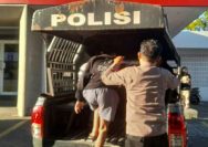 Respons cepat kembali ditunjukkan jajaran Polsek Wenang dalam menjaga keamanan dan ketertiban masyarakat. Hanya berselang 13 menit