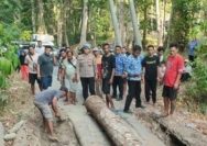 Jembatan darurat Lendo’a yang menjadi akses penghubung antara Desa Musi dan Kelurahan Lirung Matane, Kecamatan Lirung, Kabupaten Kepulauan Talaud, telah selesai diperbaiki pada Kamis (24/9/2026) sekitar pukul 16.30 WITA.
