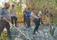 Kebakaran lahan terjadi di wilayah Kampung Kanawong, Kecamatan Siau Barat. Peristiwa tersebut mendapat penanganan sehingga kobaran api akhirnya berhasil dipadamkan.